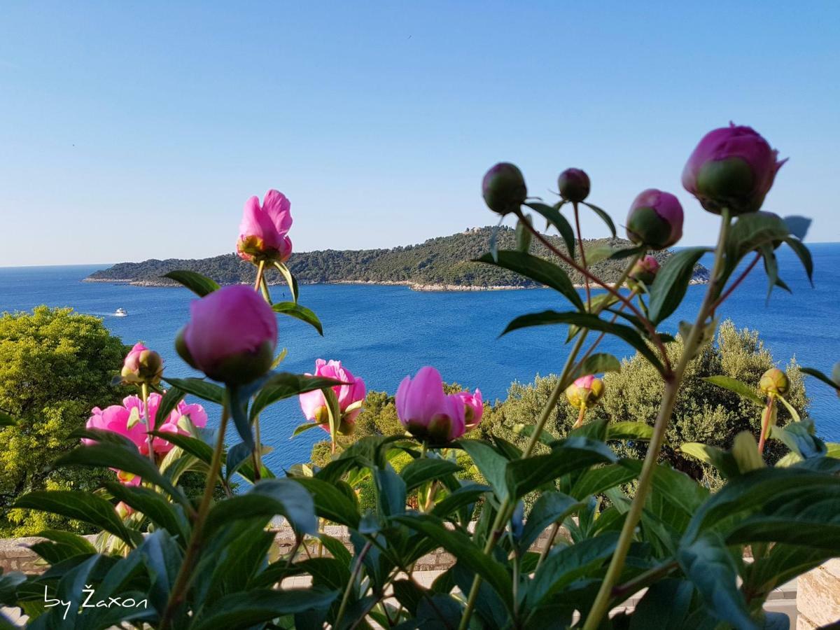 Apartments Sv.Jakov Dubrovnik Dış mekan fotoğraf